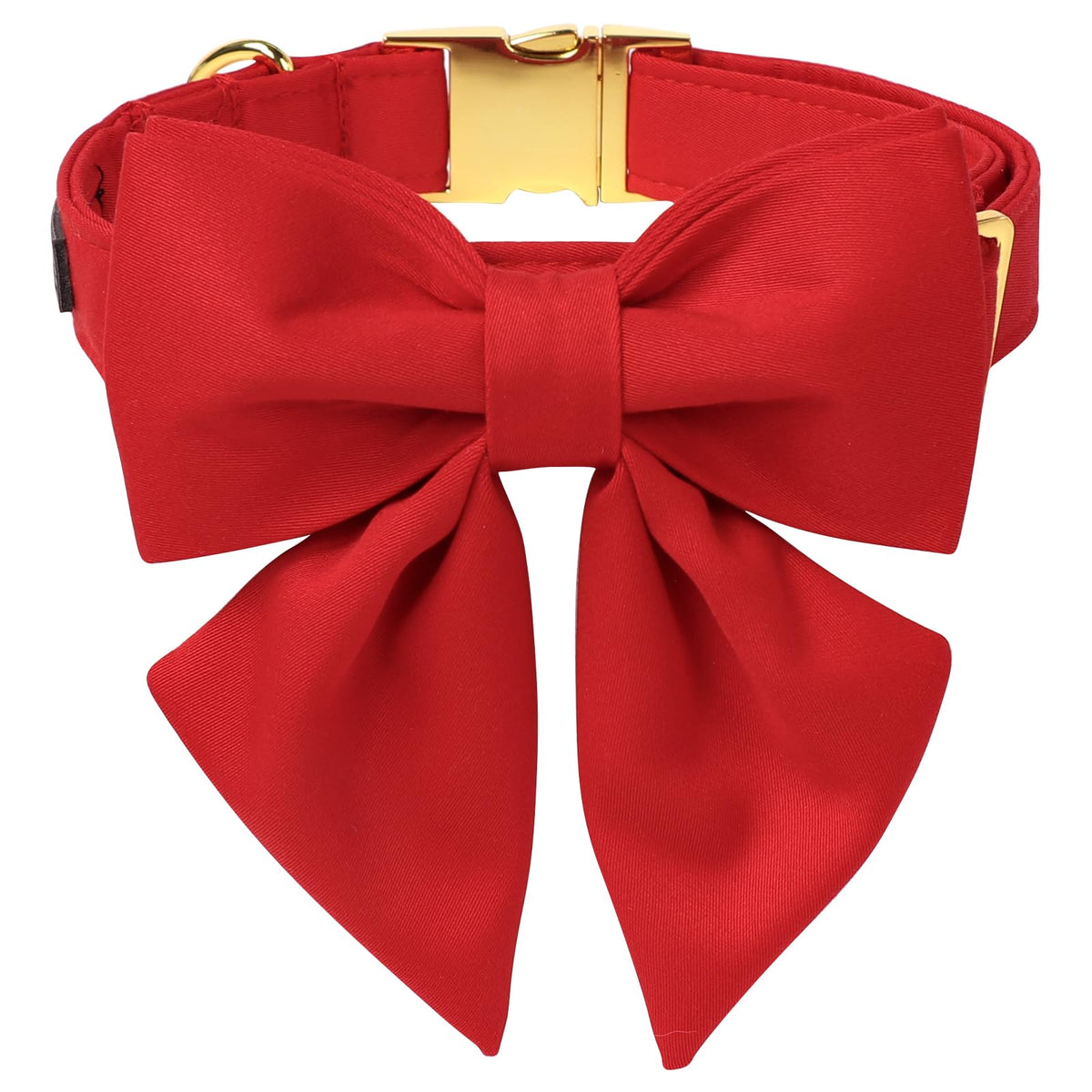 Maca Bates collar perro: guía de medición para ajuste cómodo y seguro.