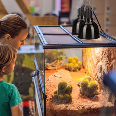 Macarrie lampara para terrario de reptiles con calentamiento estable