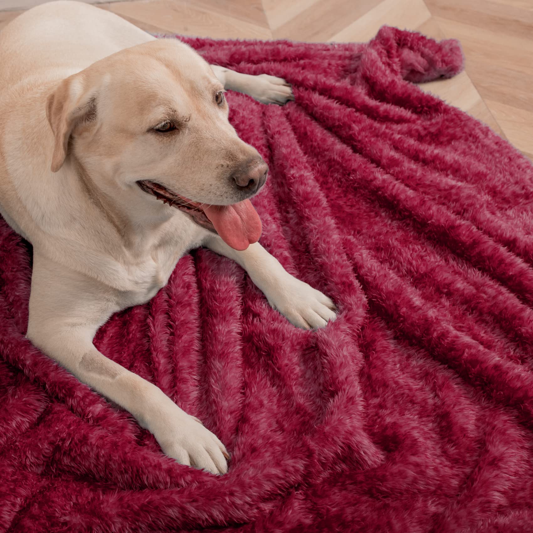MACEVIA detalle de textura esponjosa, ofrece suavidad para mascotas