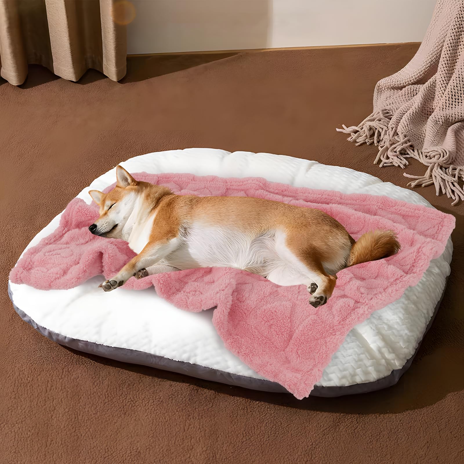 MACEVIA manta para viajes, mantiene al perro cómodo durante travesías