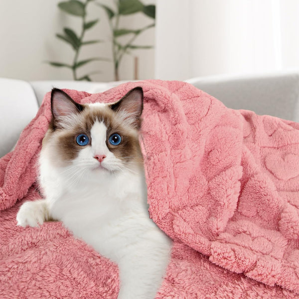 MACEVIA manta peluche protege muebles de pelos y arañazos