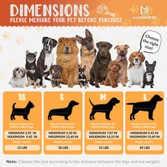 MAcosiness corta uñas para perros y gatos; precisión y seguridad durante el cuidado.