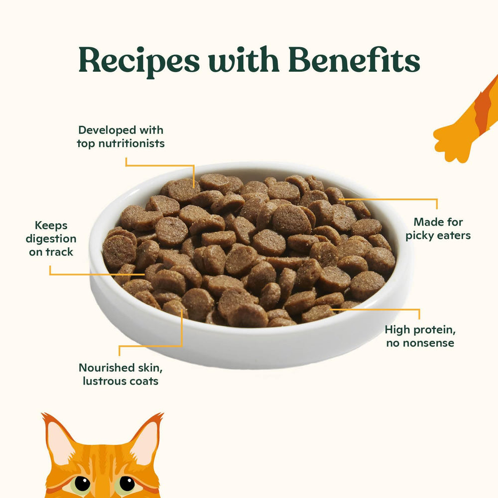 Made by Nacho caldo de hueso infusionado, sabor que atrae a los gatos hora de comida.