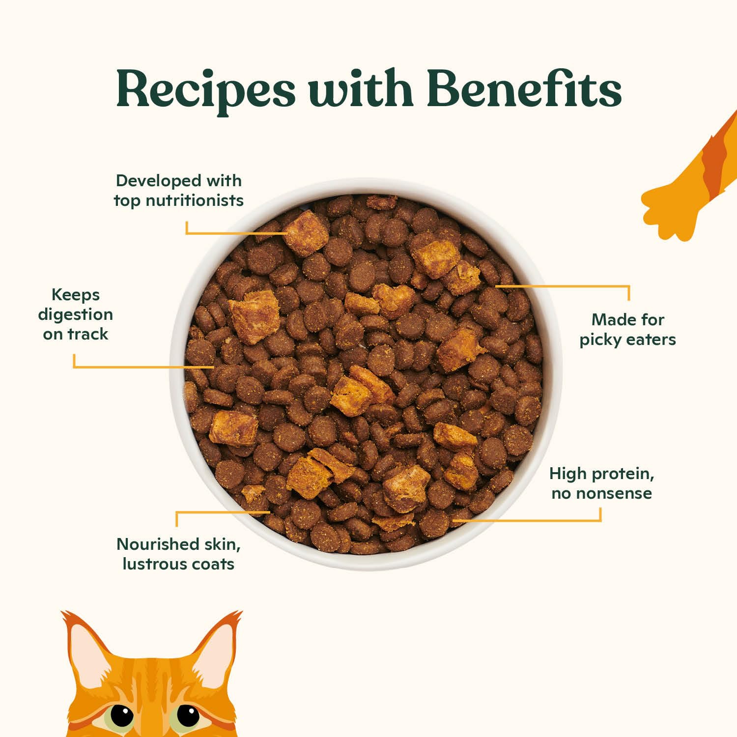 Made by Nacho croquetas con hígado de pollo liofilizado, aporte extra de proteína para músculos.