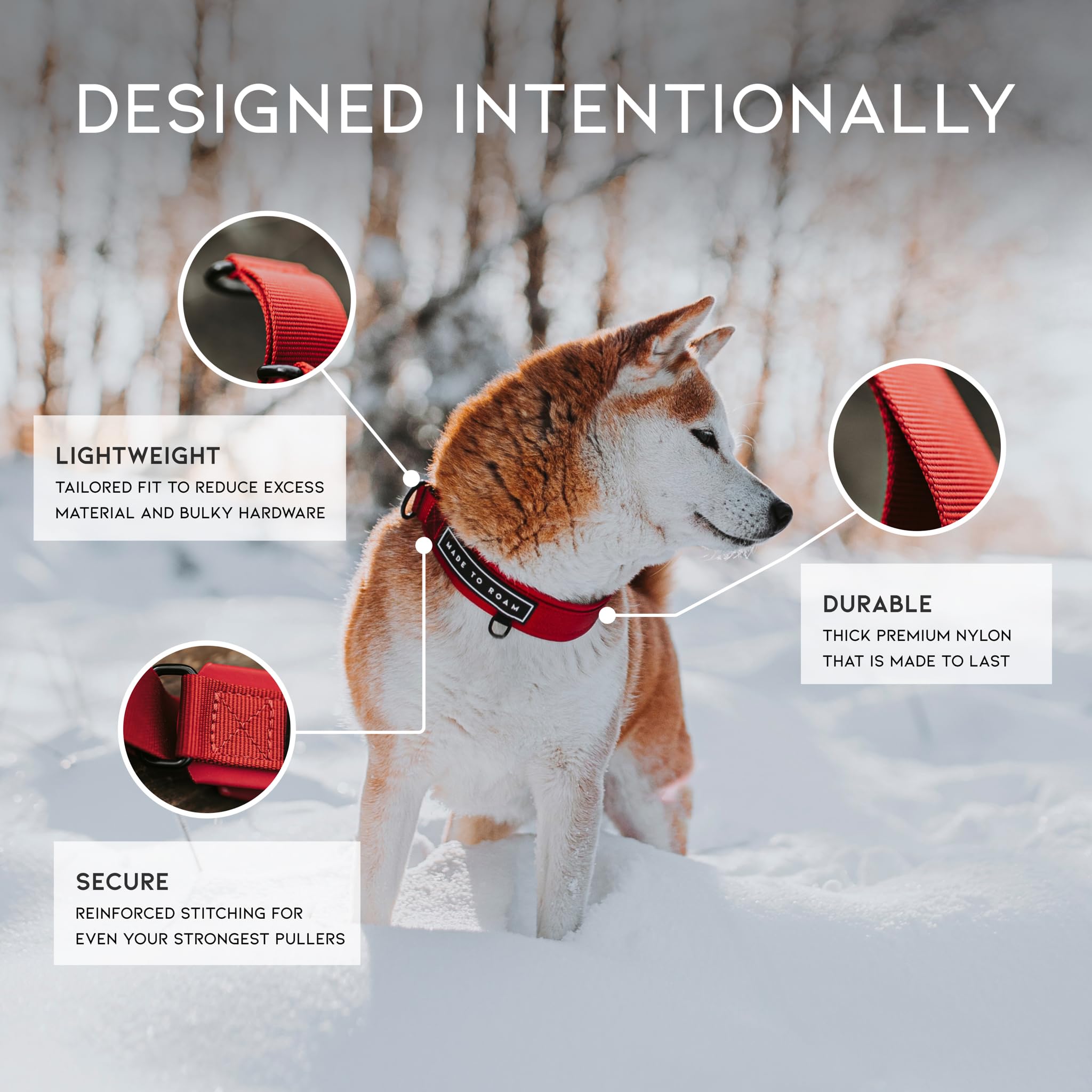 Collar MADE TO ROAM estilo martingale, primer plano de ajuste sin tirones.