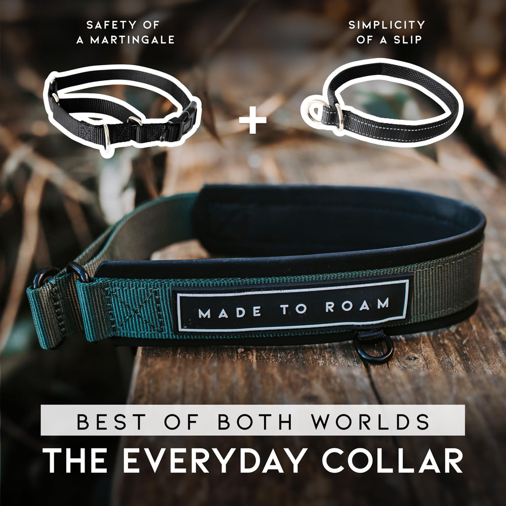Collar MADE TO ROAM nylon resistente, detalle de costuras para durabilidad.
