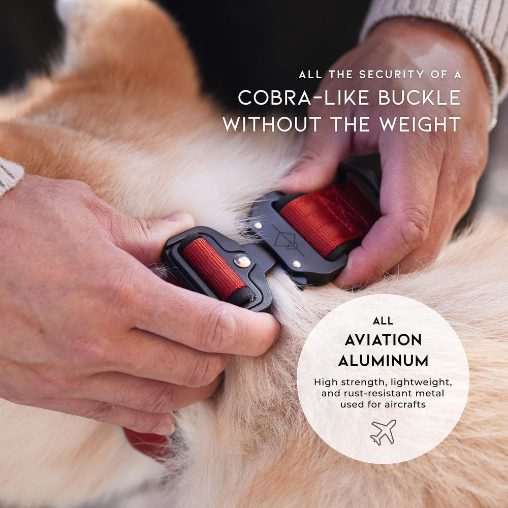 MADE TO ROAM Comfort Collar nylon de alta resistencia para uso activo diario