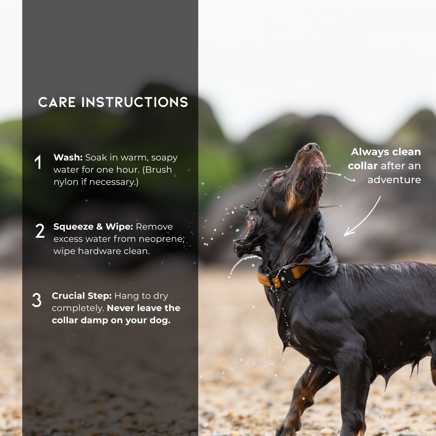 MADE TO ROAM Comfort Collar perfecto para uso diario en casa y paseos