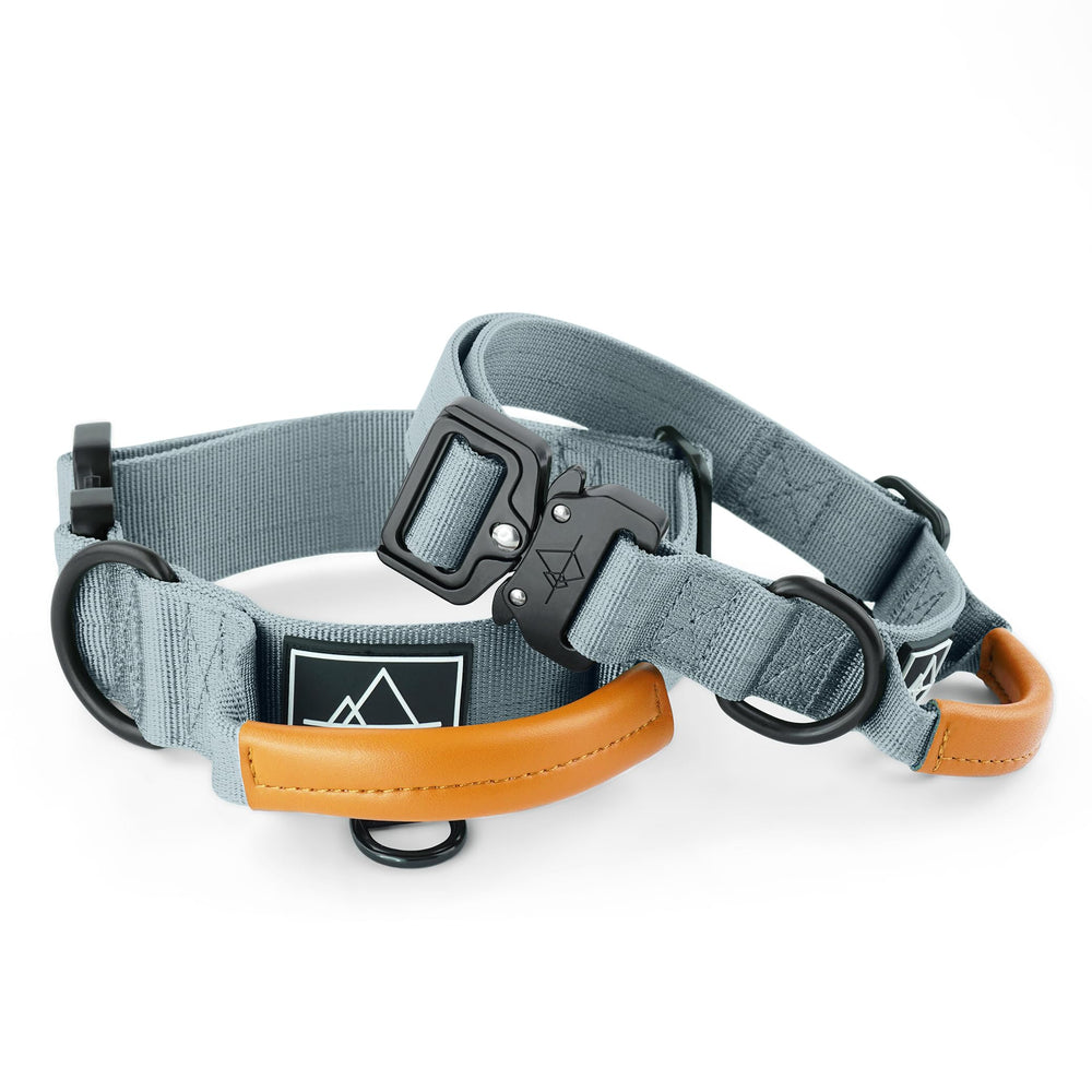 MADE TO ROAM Explorer Control Collar con cierre rápido de metal para paseos seguros