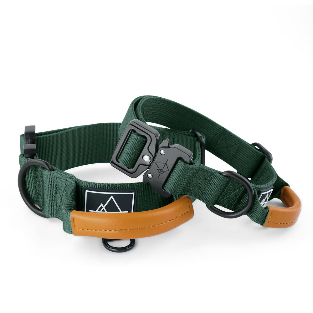 MADE TO ROAM Explorer Control Collar con hebilla de metal duradera