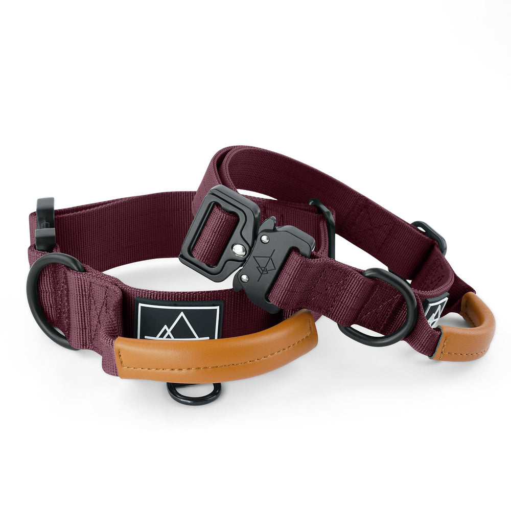 MADE TO ROAM Explorer Control Collar, hebilla metalica rapida, ajuste seguro en todas las aventuras.