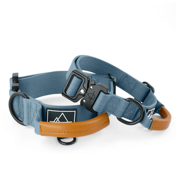 MADE TO ROAM Explorer Control Collar side view with handle demonstrates enhanced leash control.