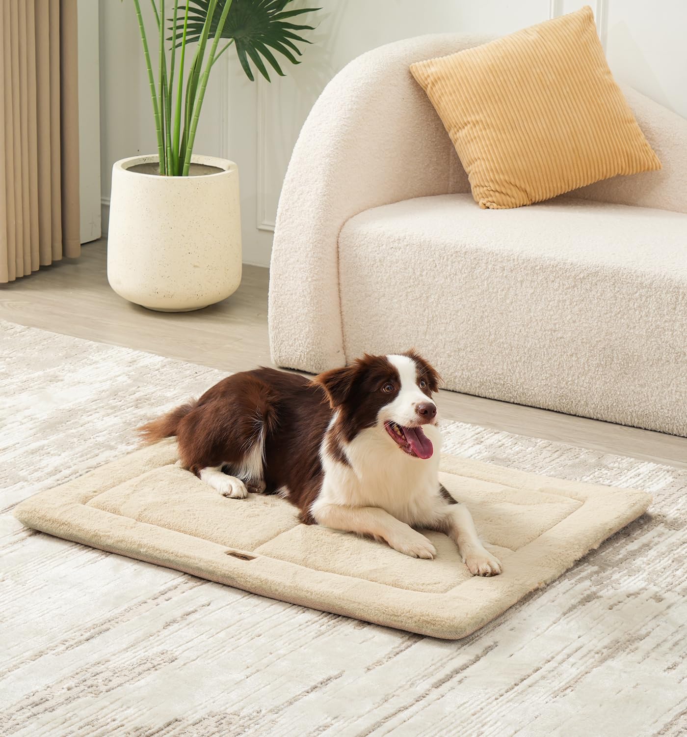 Color beige de Made4Pets, diseño versátil para cualquier espacio.