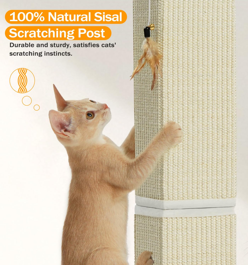MADE 4 PETS diseño para uso en interiores, apto para gatitos y adultos