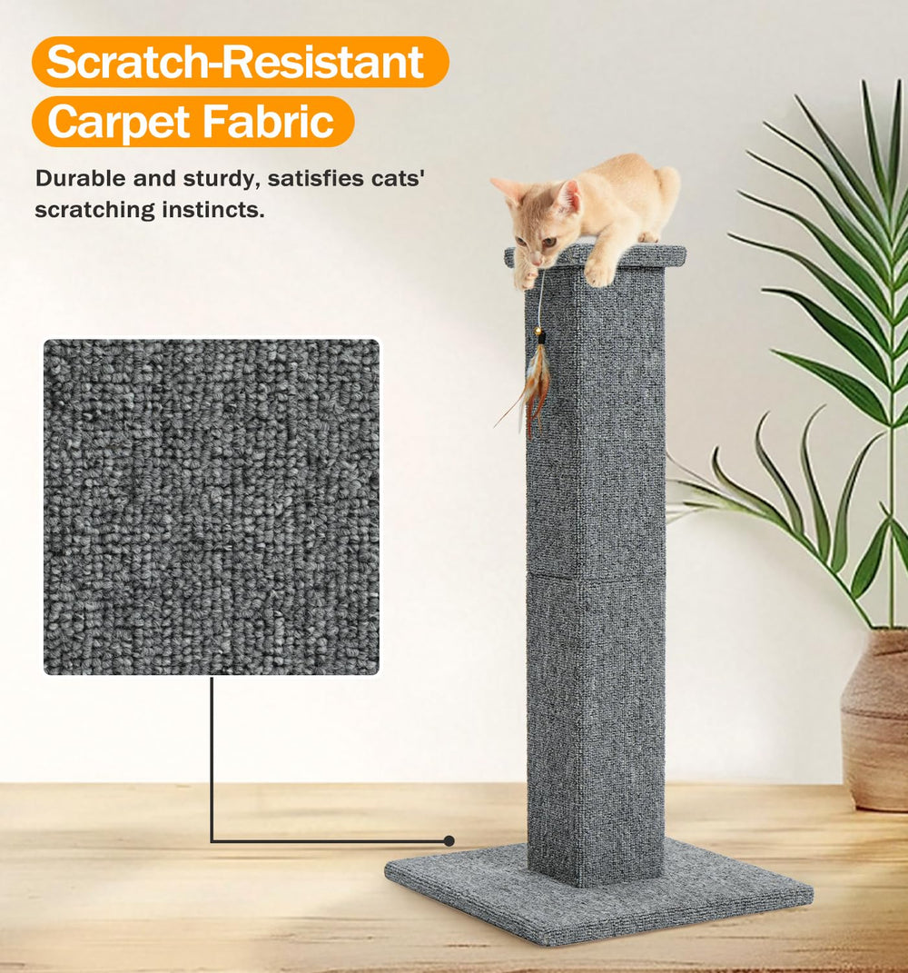 Made4Pets uso en interiores, ideal para gatos de casa