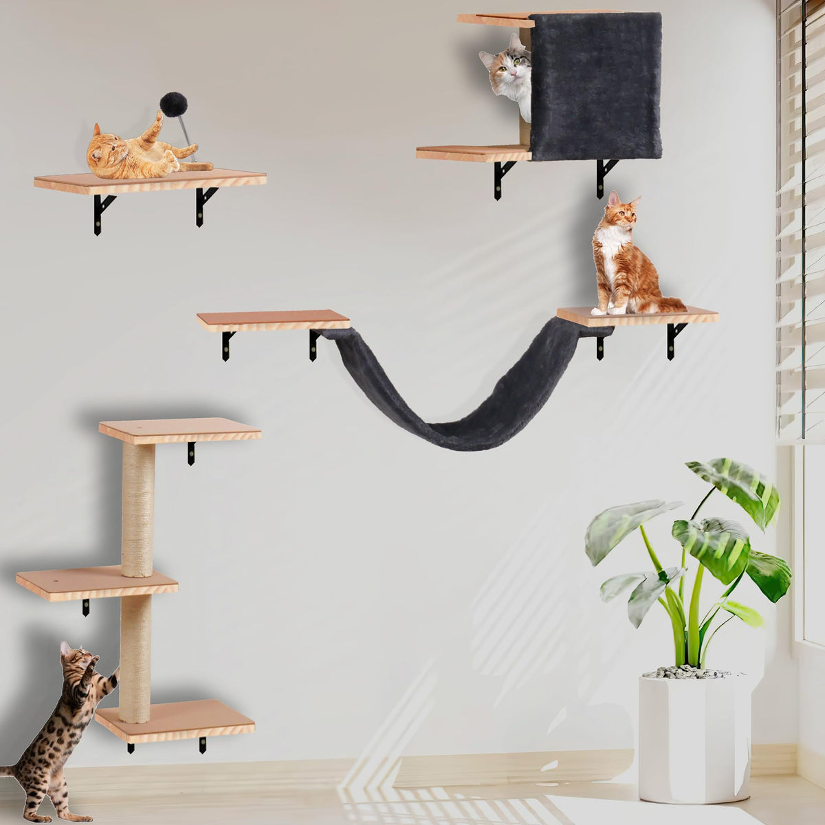 MADNIU estantes murales para gatos con poste rasca; ideal para trepar y jugar