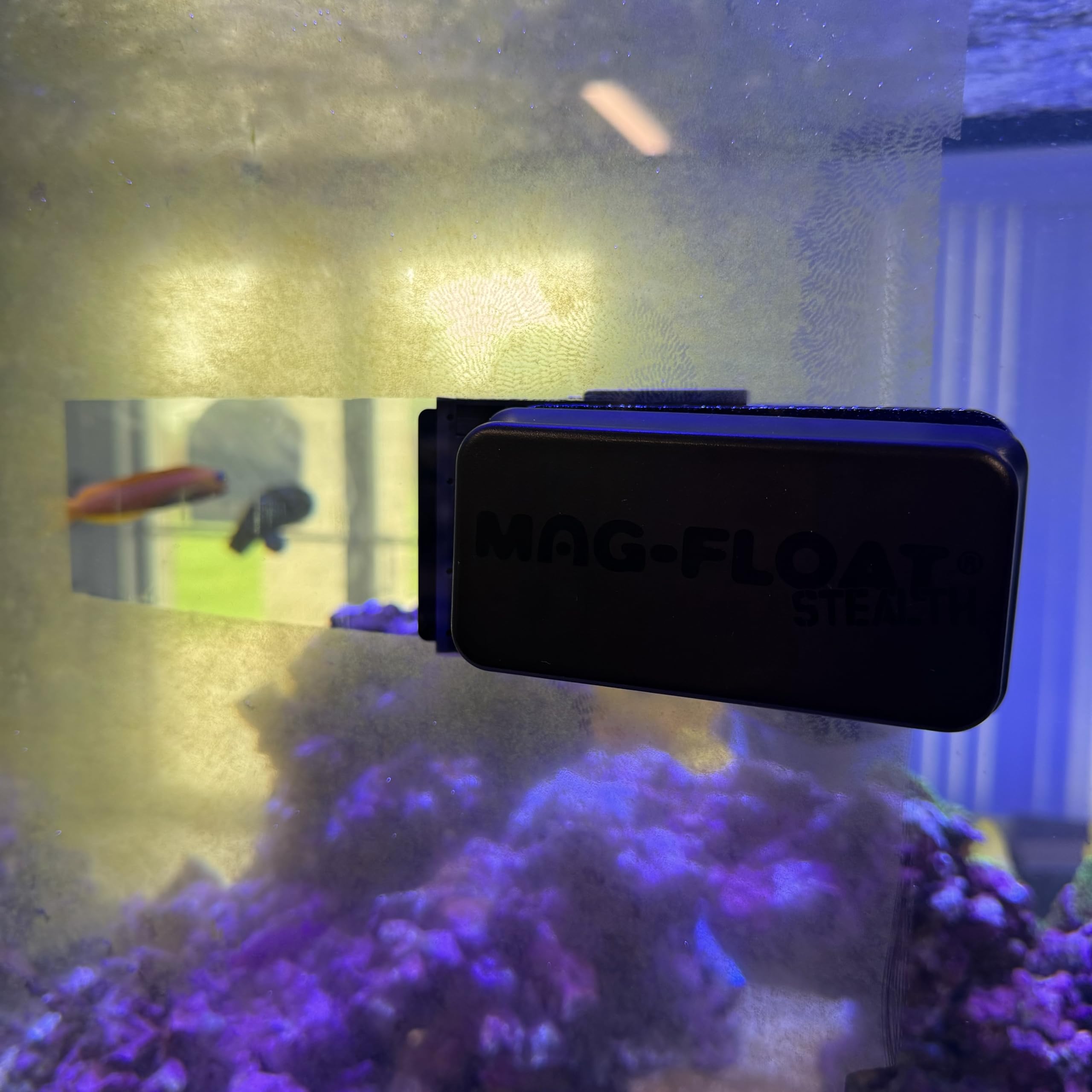 Mag-Float funciona en acuarios de hasta 125 galones.