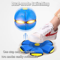 Magic Ball: juguete interactivo para perros, fomenta juego y movilidad en casa.