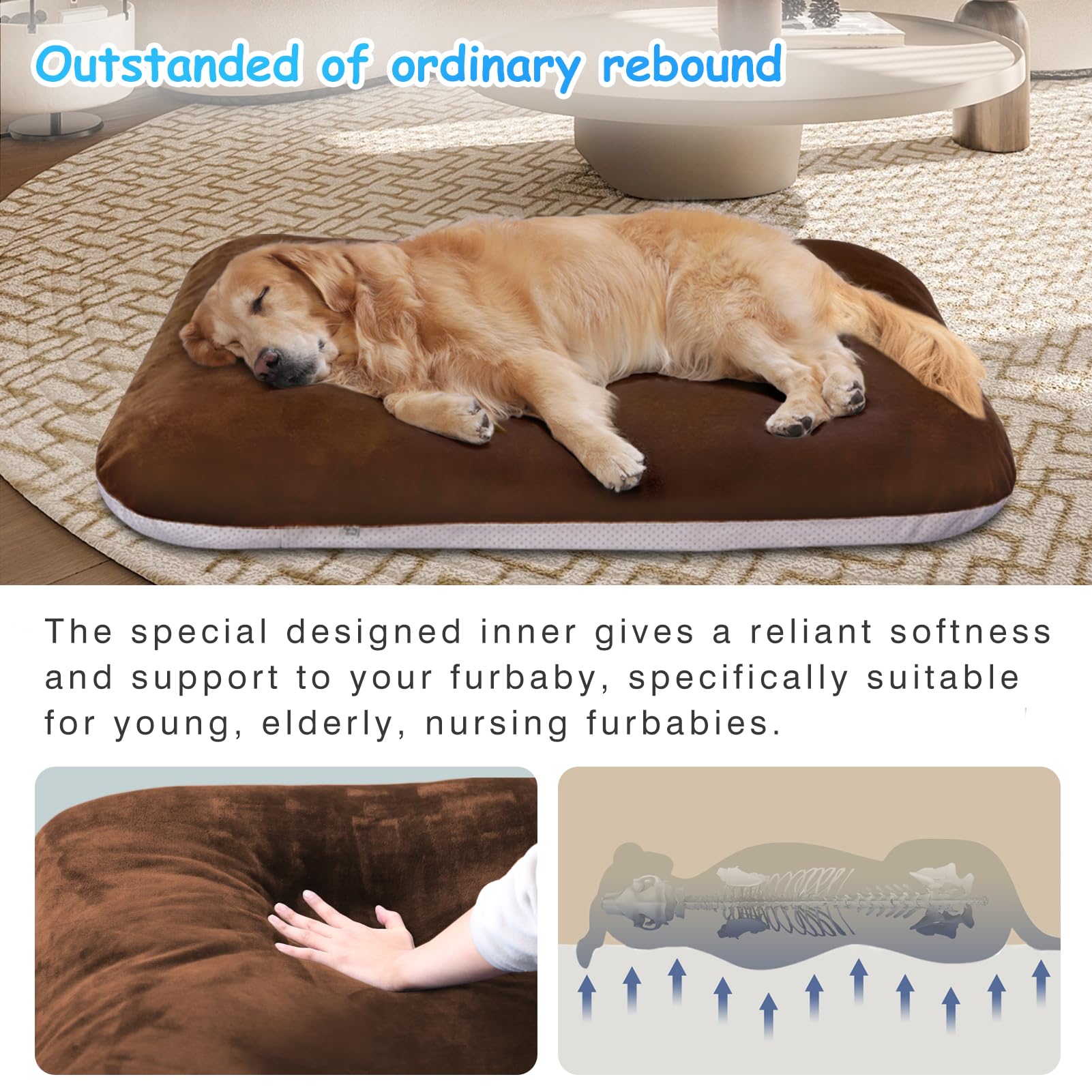 Magic Dog base antideslizante mantiene la cama estable