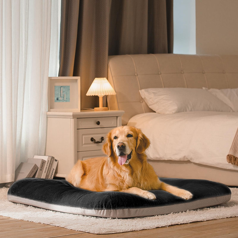 Magic Dog espacio cómodo para el descanso diario de tu mascota.