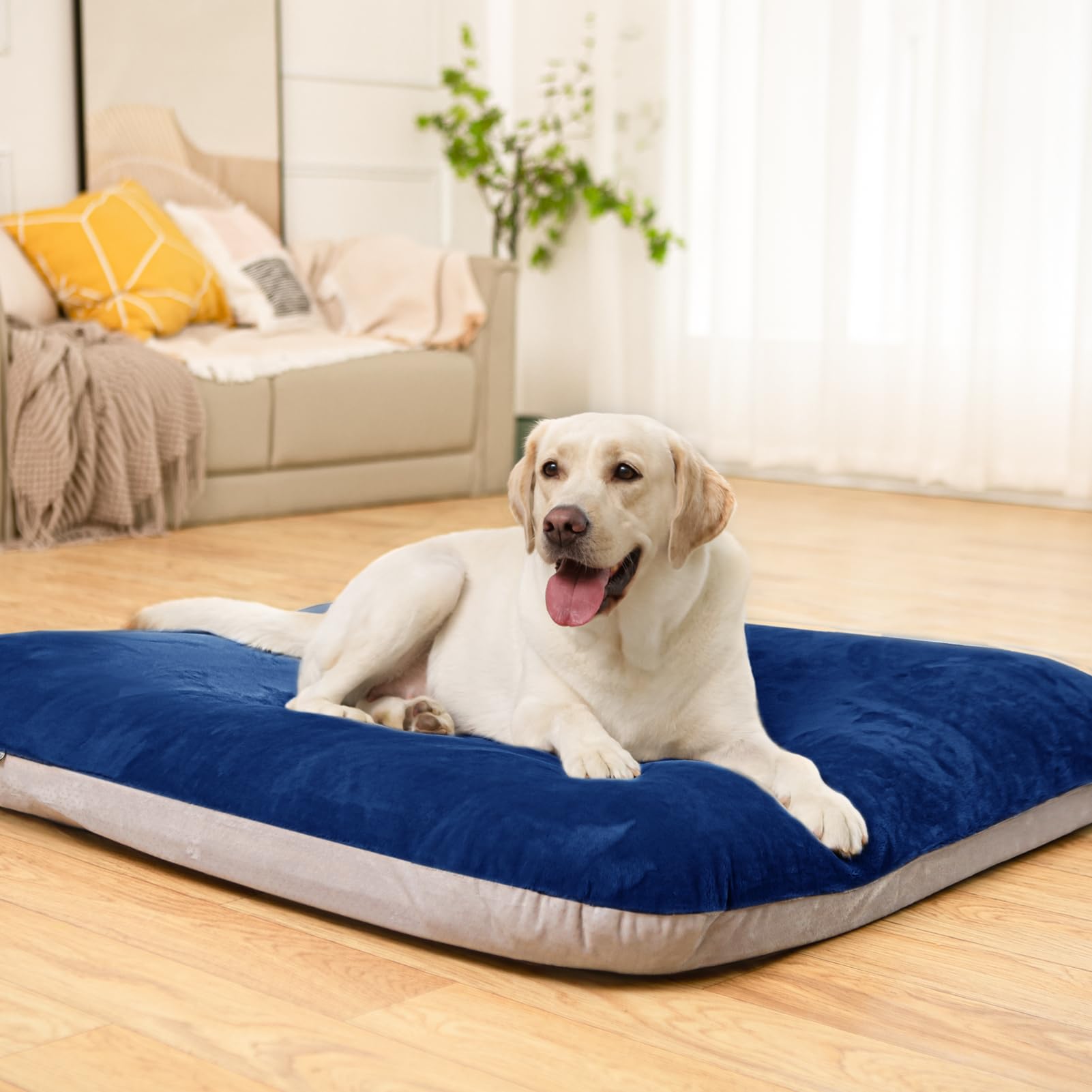 Magic Dog diseño pensado para perros mayores con necesidad de apoyo