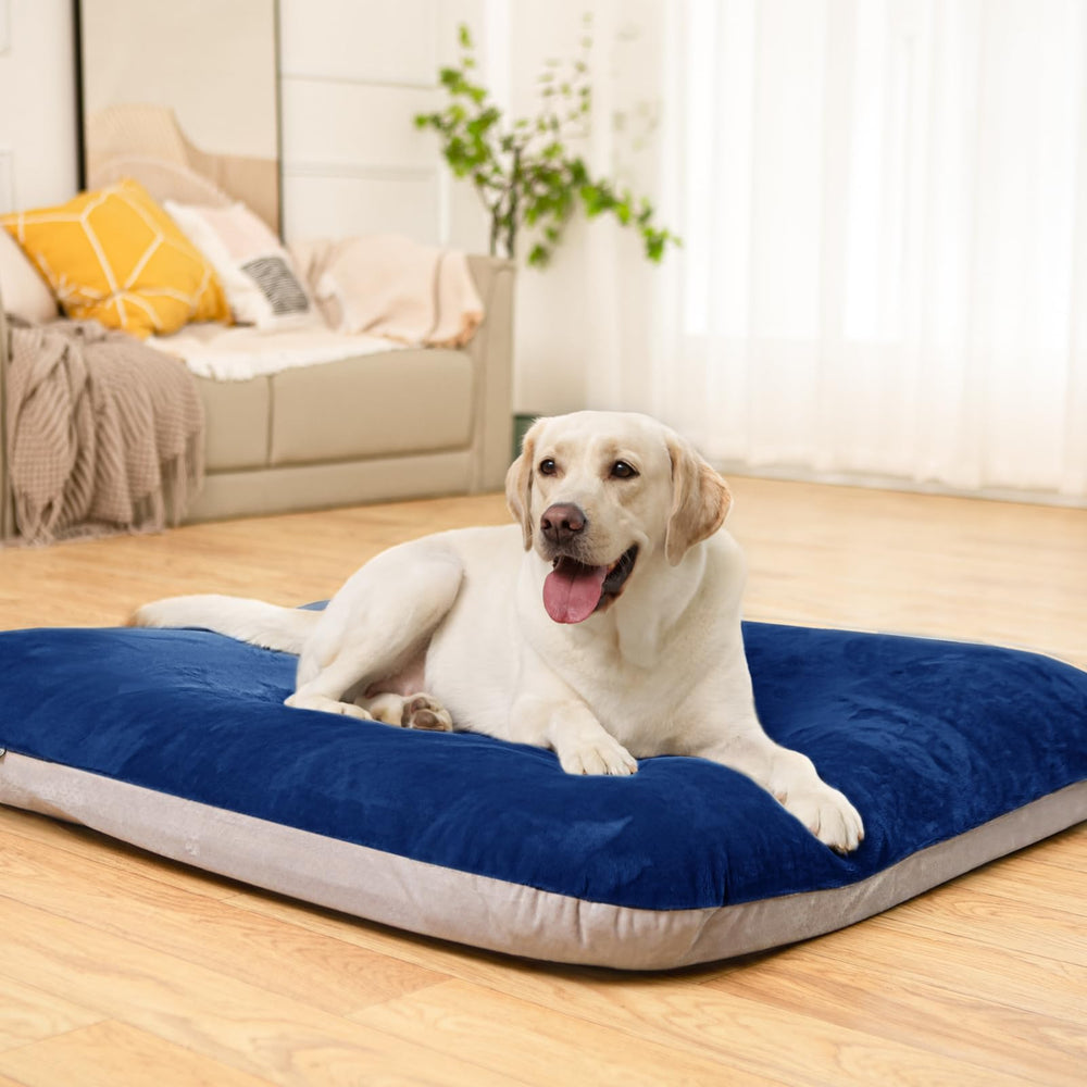 Magic Dog diseño pensado para perros mayores con necesidad de apoyo