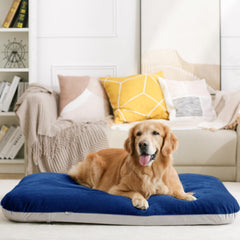 Magic Dog relleno fibras PP recicladas y espuma de alta densidad para soporte cómodo