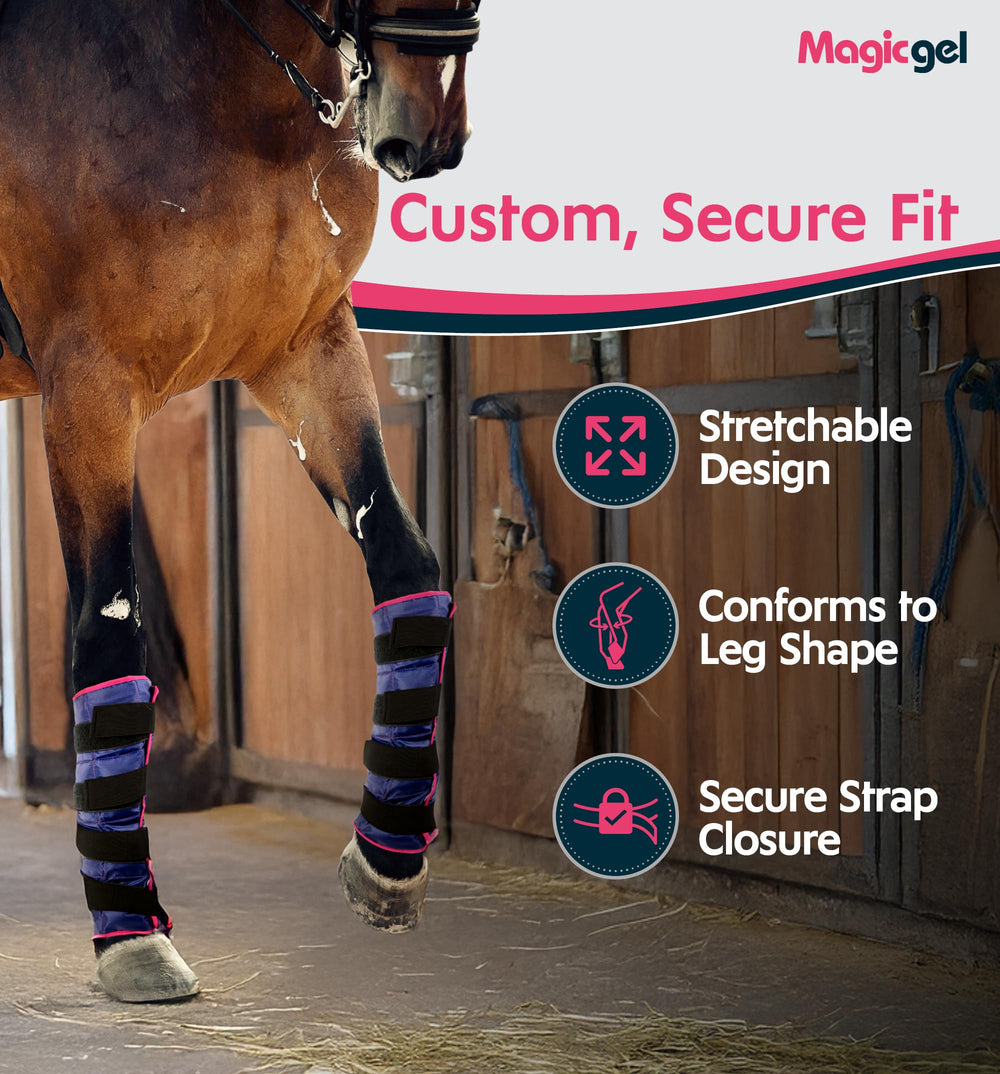 Magic Gel caballo instrucciones de aplicación para uso sencillo.