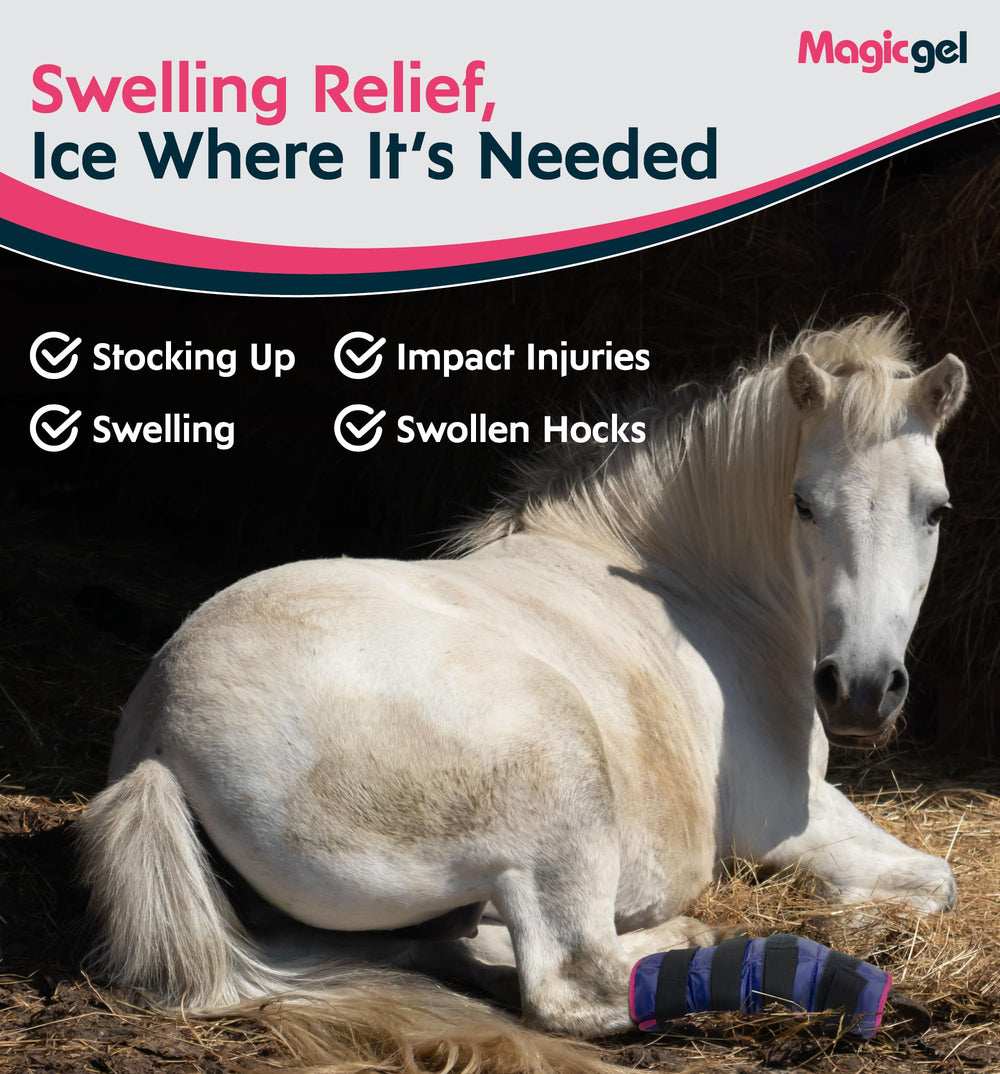 Magic Gel caballo uso diario para enfriamiento y reposo.