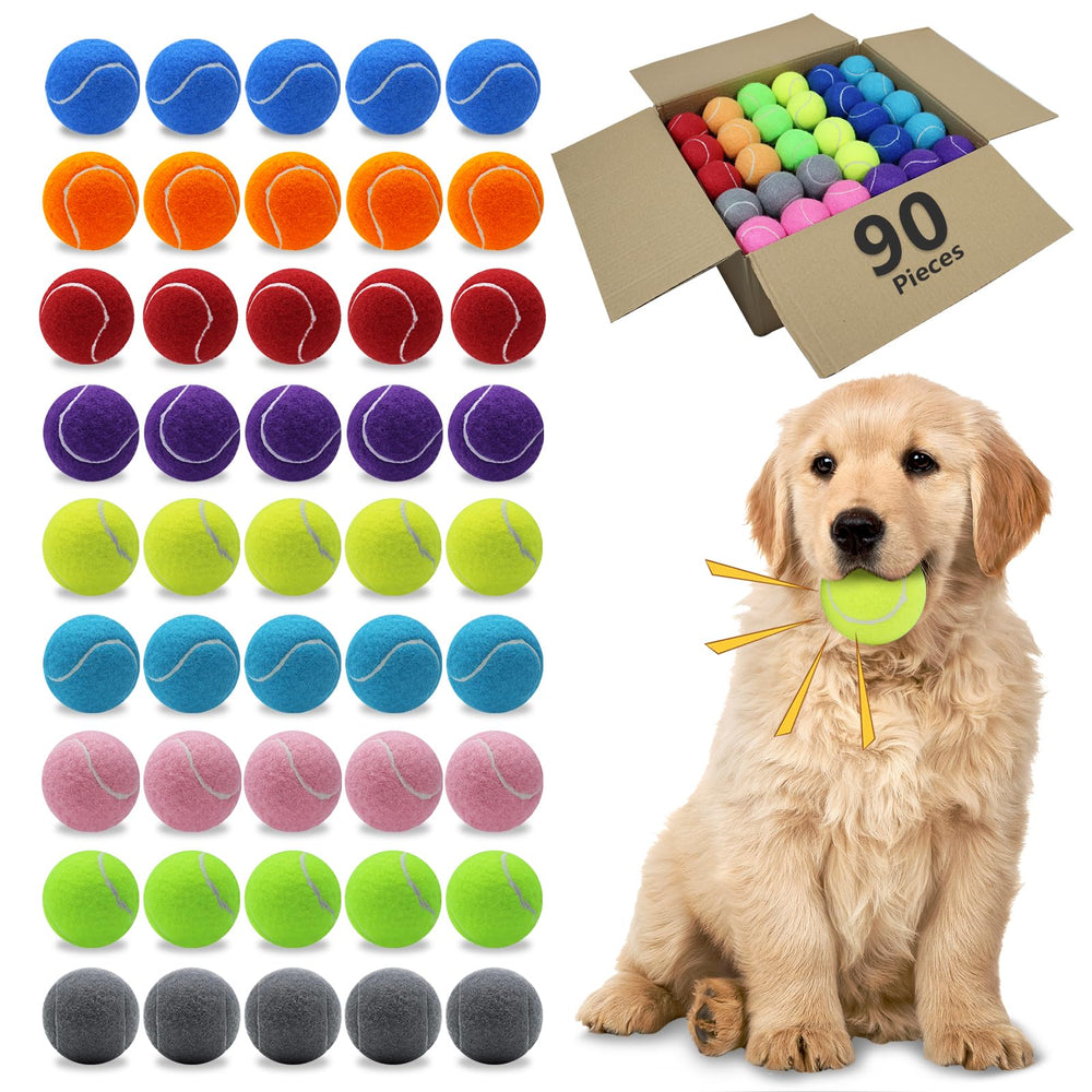 Bola Magicorange para perros de 2,5 pulgadas, ideal para jugar al aire libre.