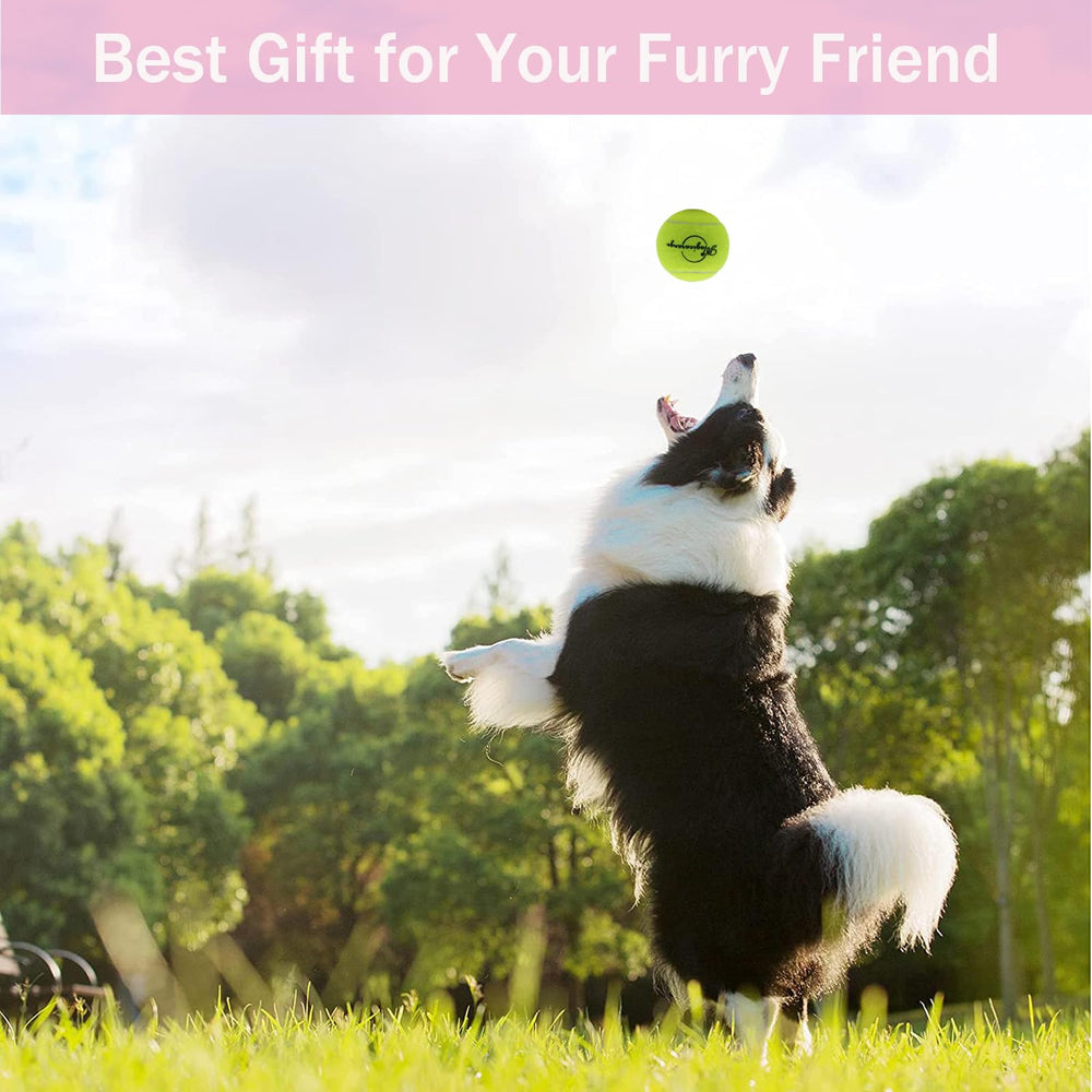 Magicorange bolas tenis para perros, juego interactivo para interior y exterior
