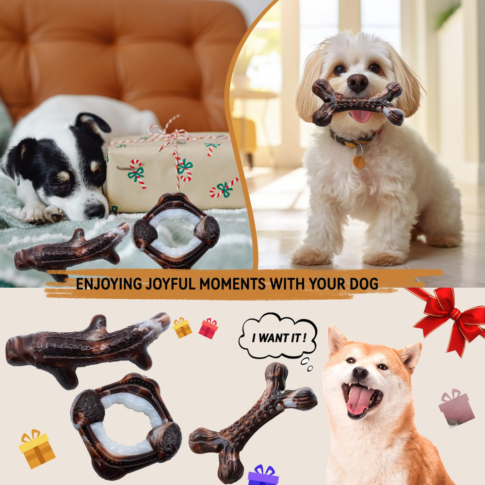Magicorange experiencia de juego duradera para perros activos y felices