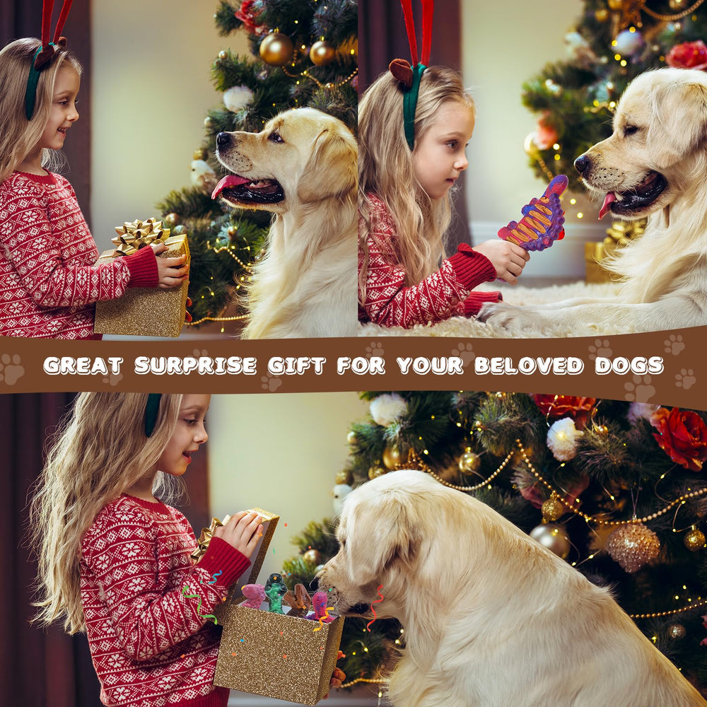 Magicorange regalo ideal para perros de todas las razas