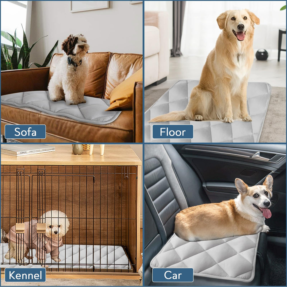 Magik & Kover tamaño de 42 pulgadas, ideal para perros grandes.