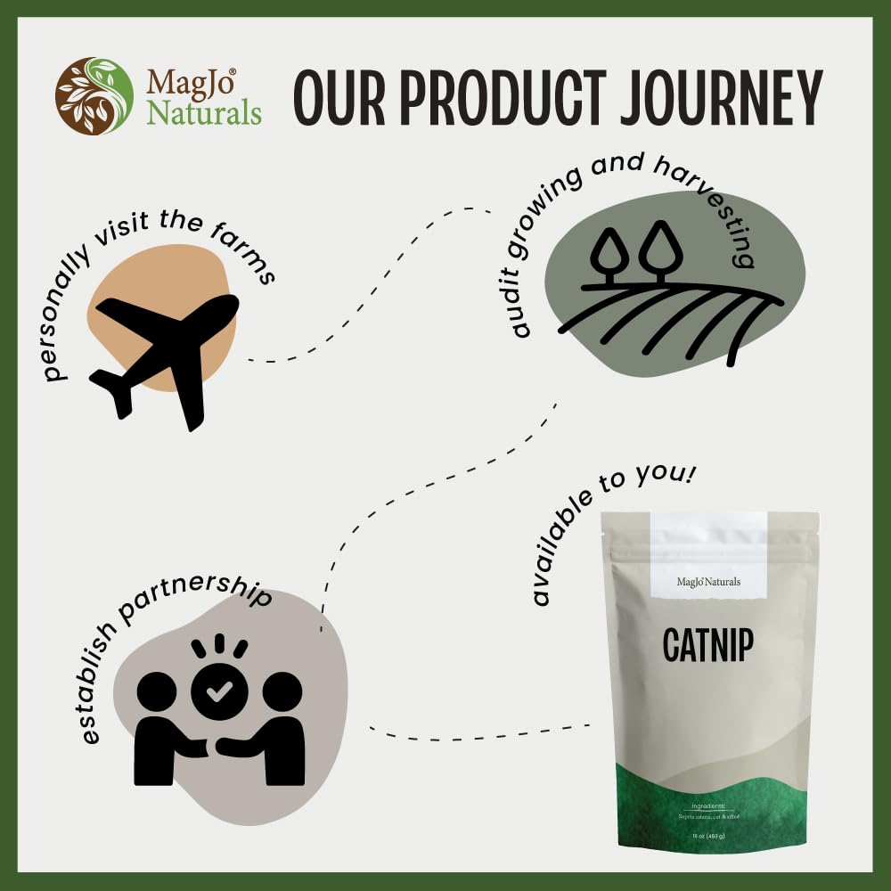 MagJo Naturals Catnip para gatos, ideal durante juego y estimulación