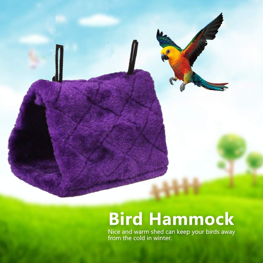 Magnoloran nido para aves: aislamiento cálido ideal para climas fríos.