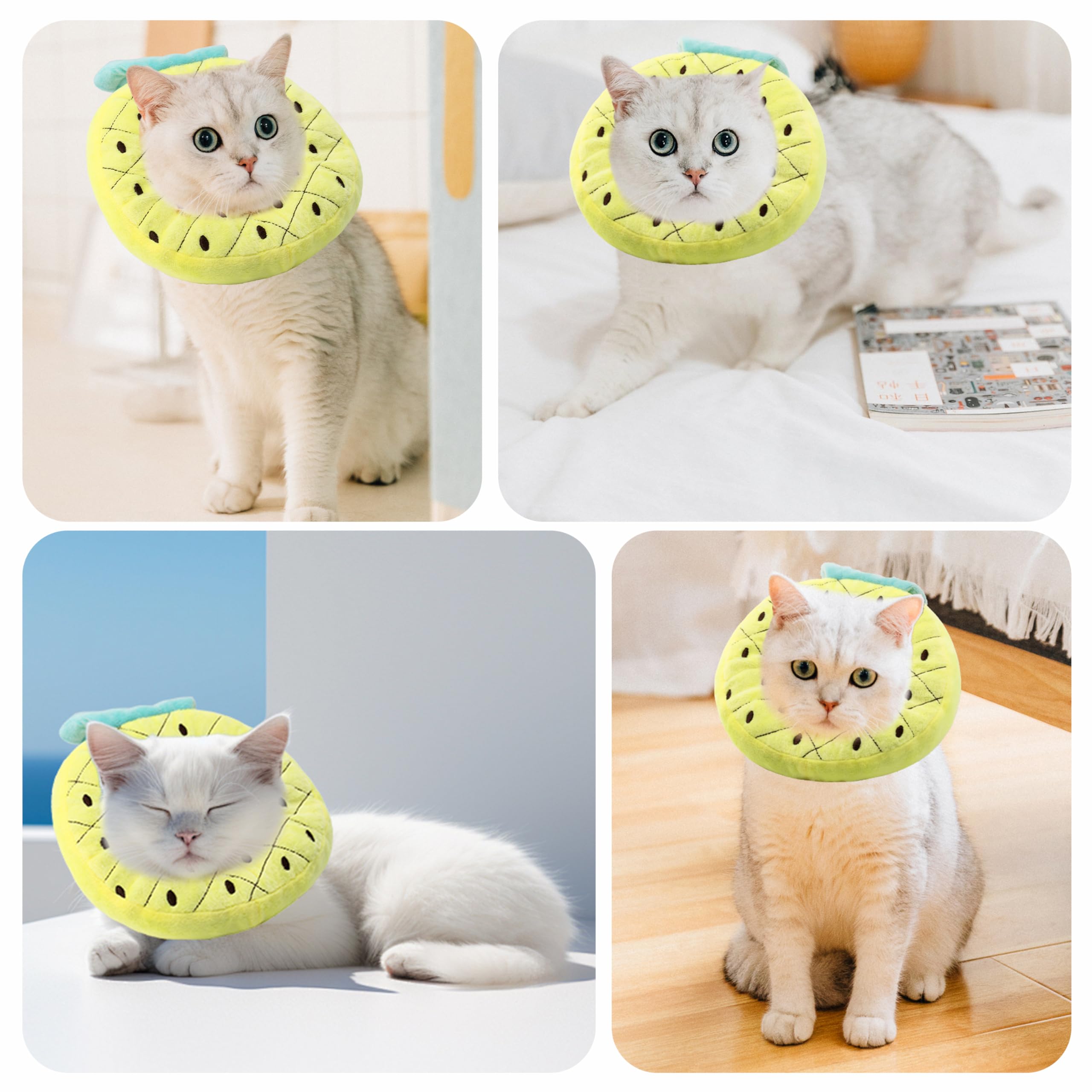 Maiiu collar-confort-suave-pp-algodon, tacto suave para el día a día.