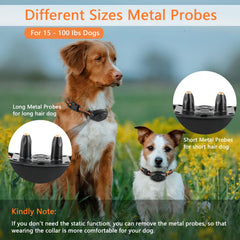 Maisoie collar de perro con sondas removibles para pieles y pelajes diferentes.