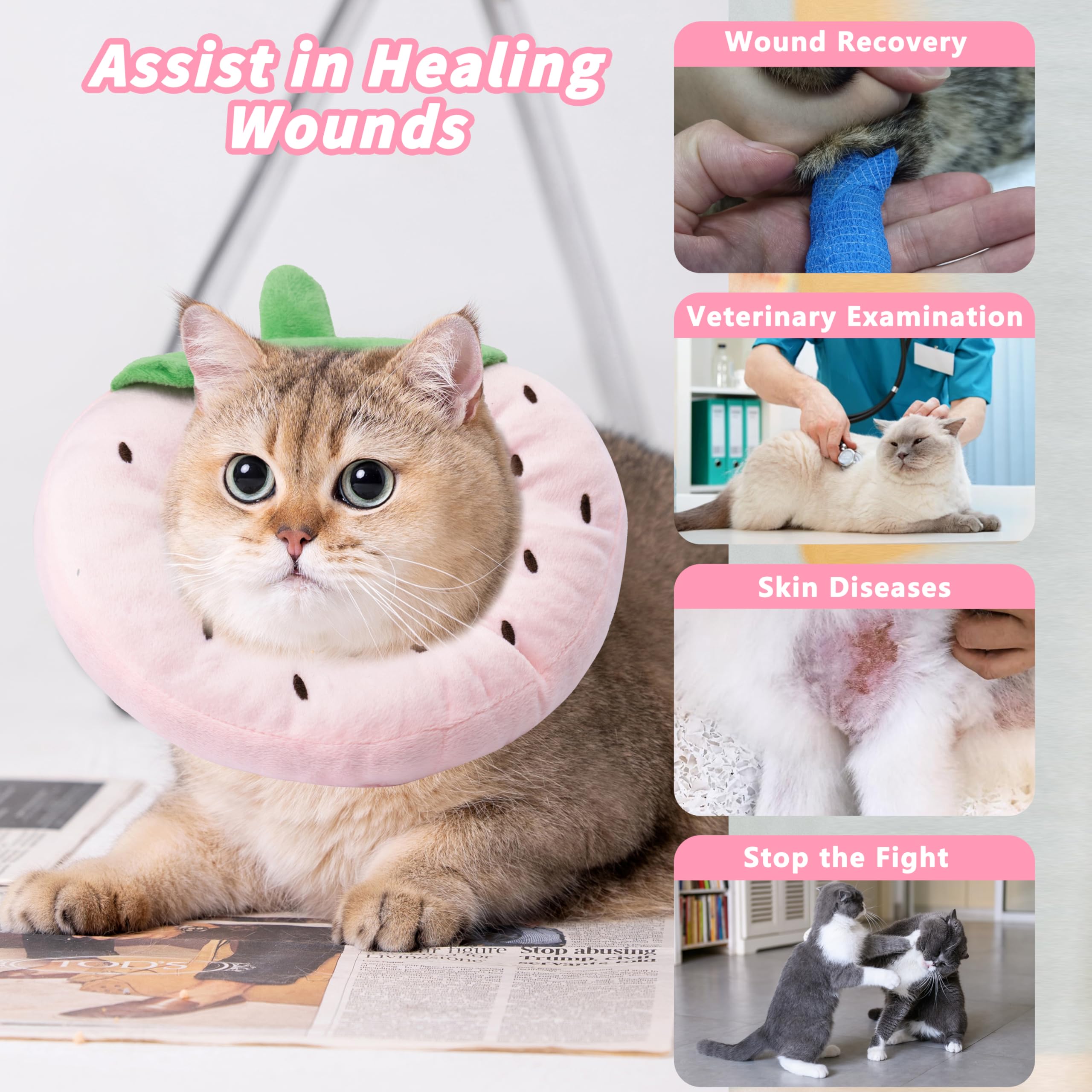 Maiiu collar cono para gatos en varias tallas para diferentes razas