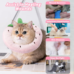 Maiiu collar cono para gatos en varias tallas para diferentes razas