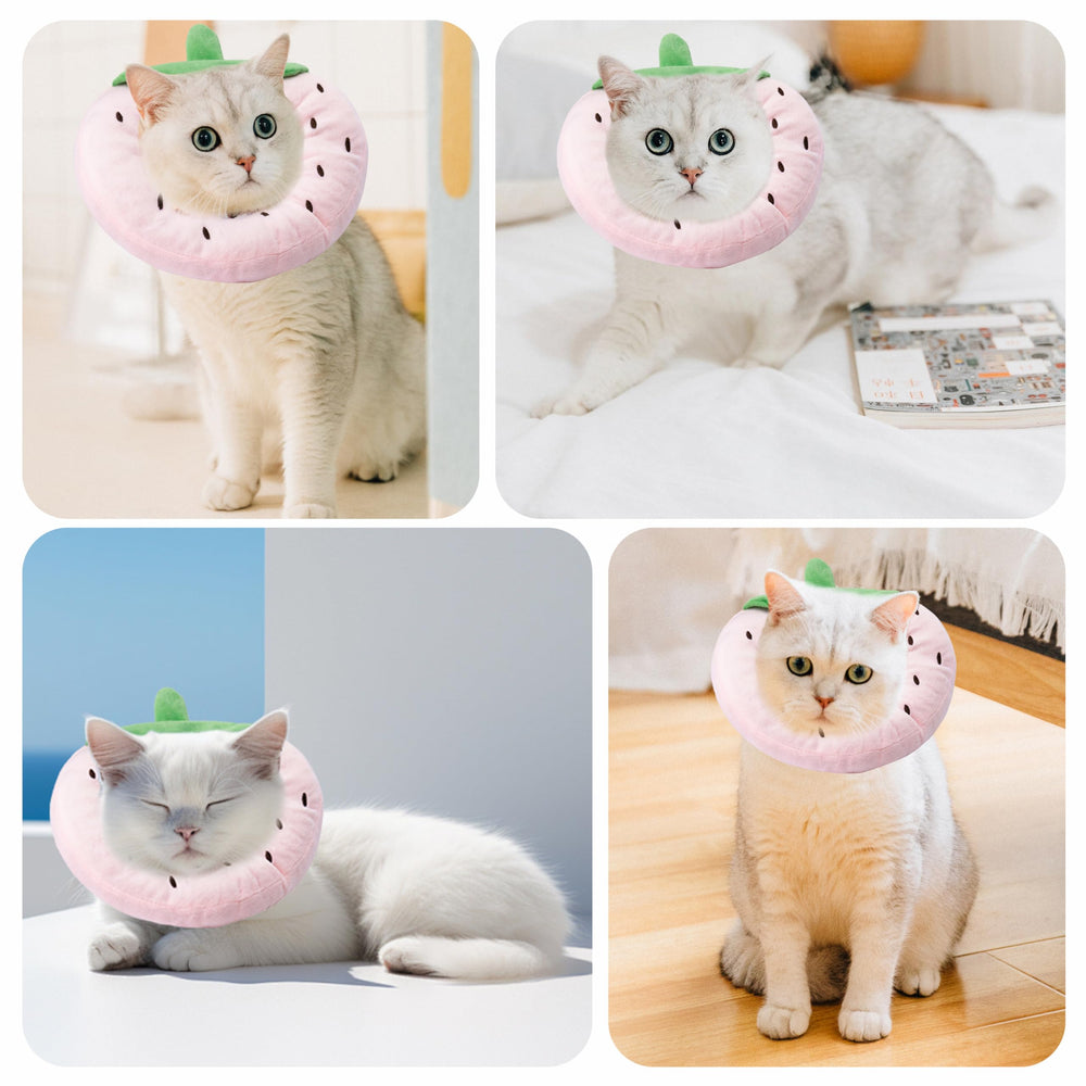 Maiiu collar cono strawberry mediano, opción elegante y práctica