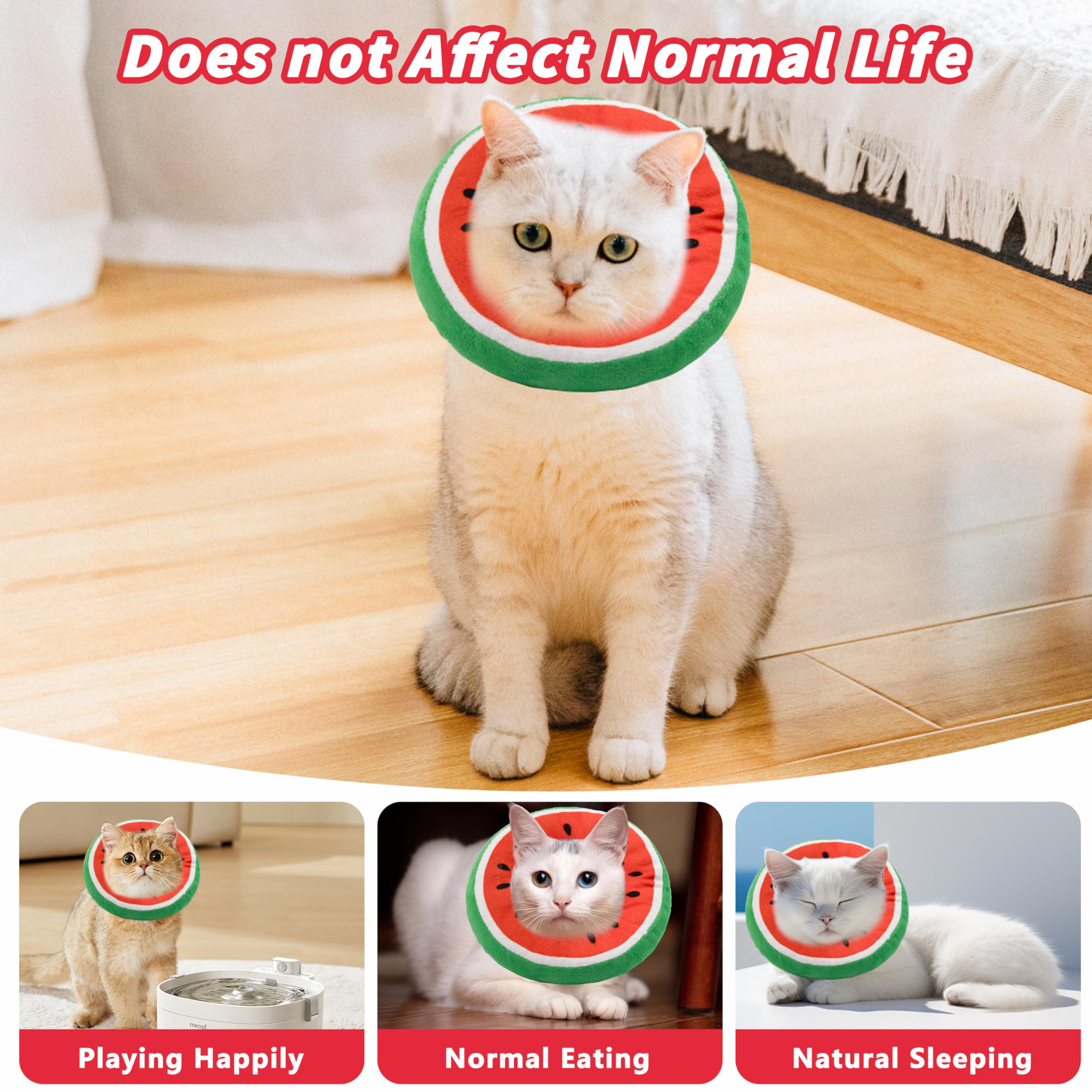 Maiau cono disponible en colores variados para gatos.