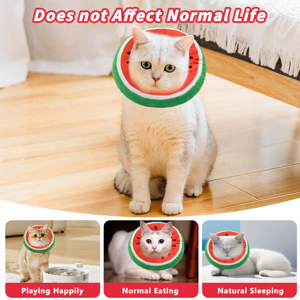 Maiau cono disponible en colores variados para gatos.