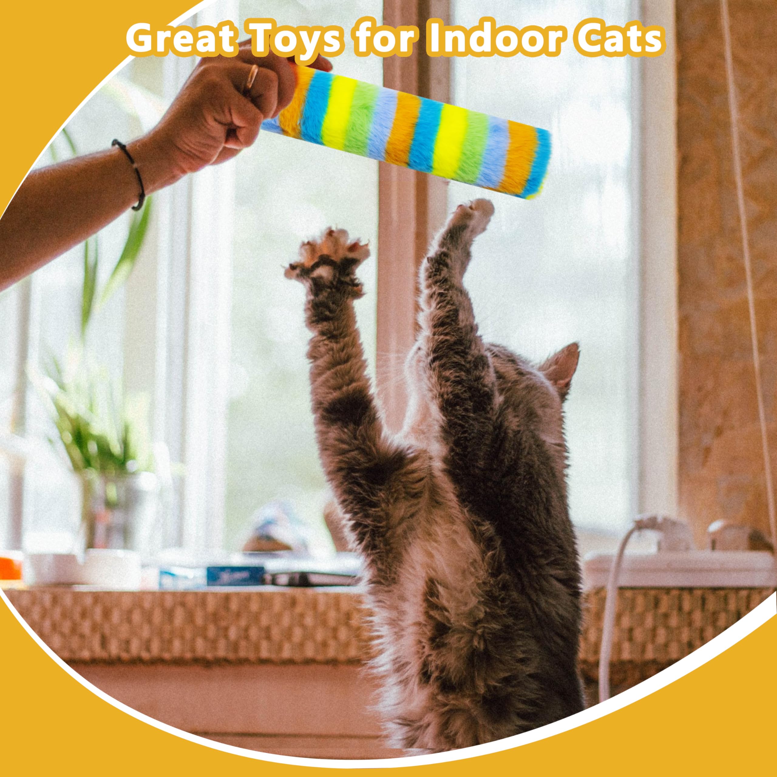 Maiiu regalo perfecto para gatos; conjunto colorido y duradero.