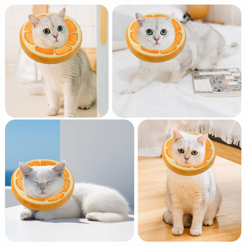 Maiiu Soft Cat Collar de protección suave tras cirugía para gatos