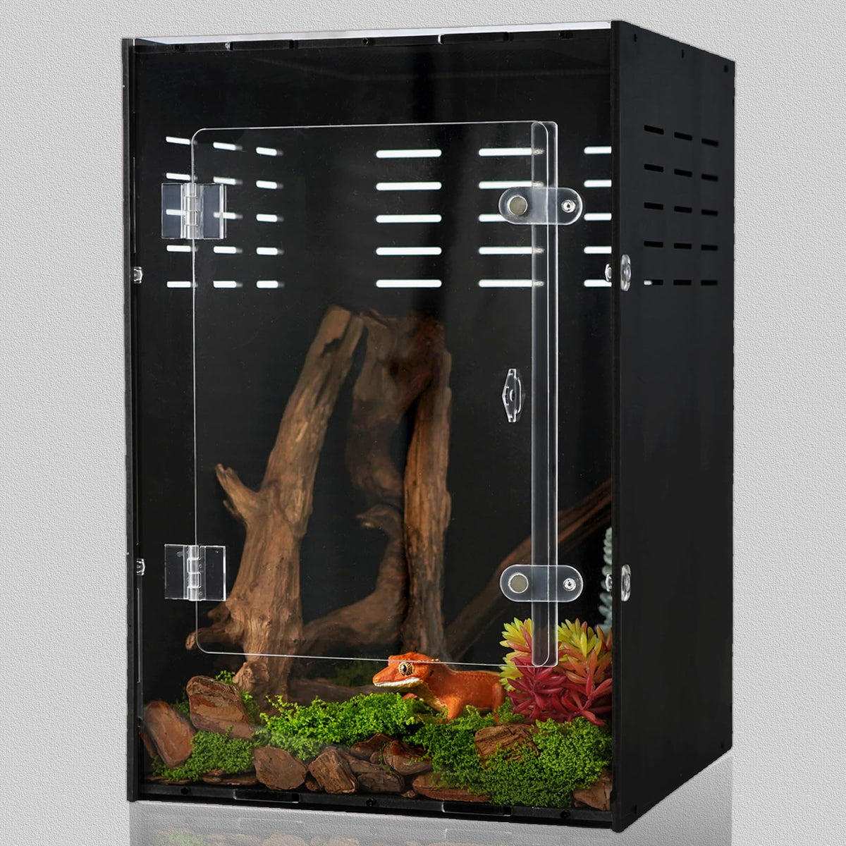 maiyuolg-terra-10-galon-vista-general: terrario para reptiles, seguro y visible.