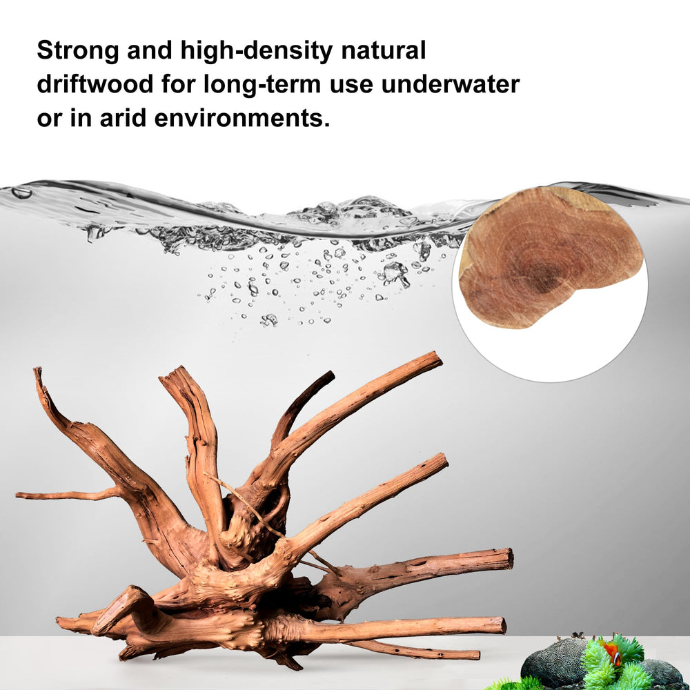 Majoywoo decoracion acuario estilo sencillo, ideal para plantas y musgo