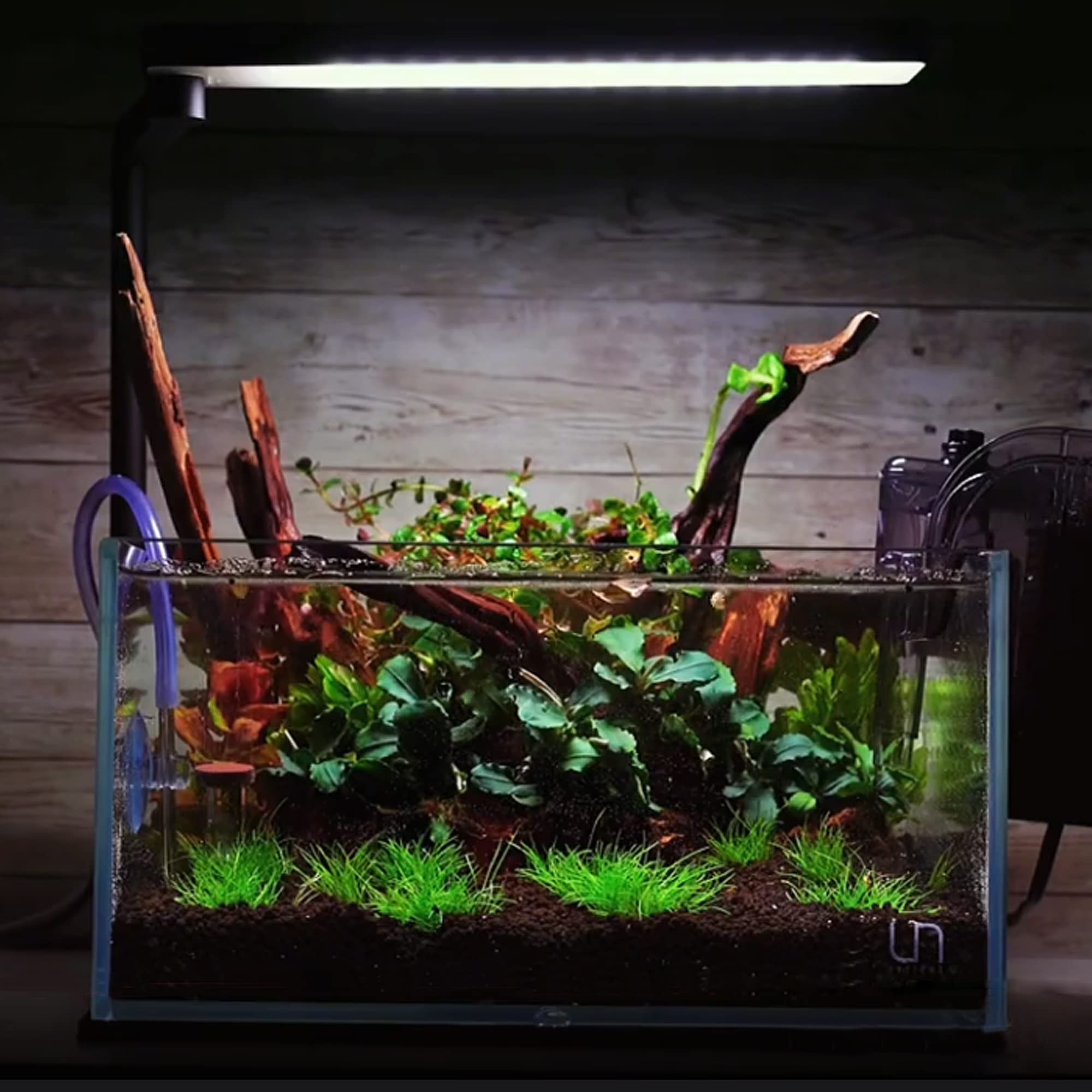 majoywoo decoraciones naturales para acuarios, se adaptan a estilos variados.