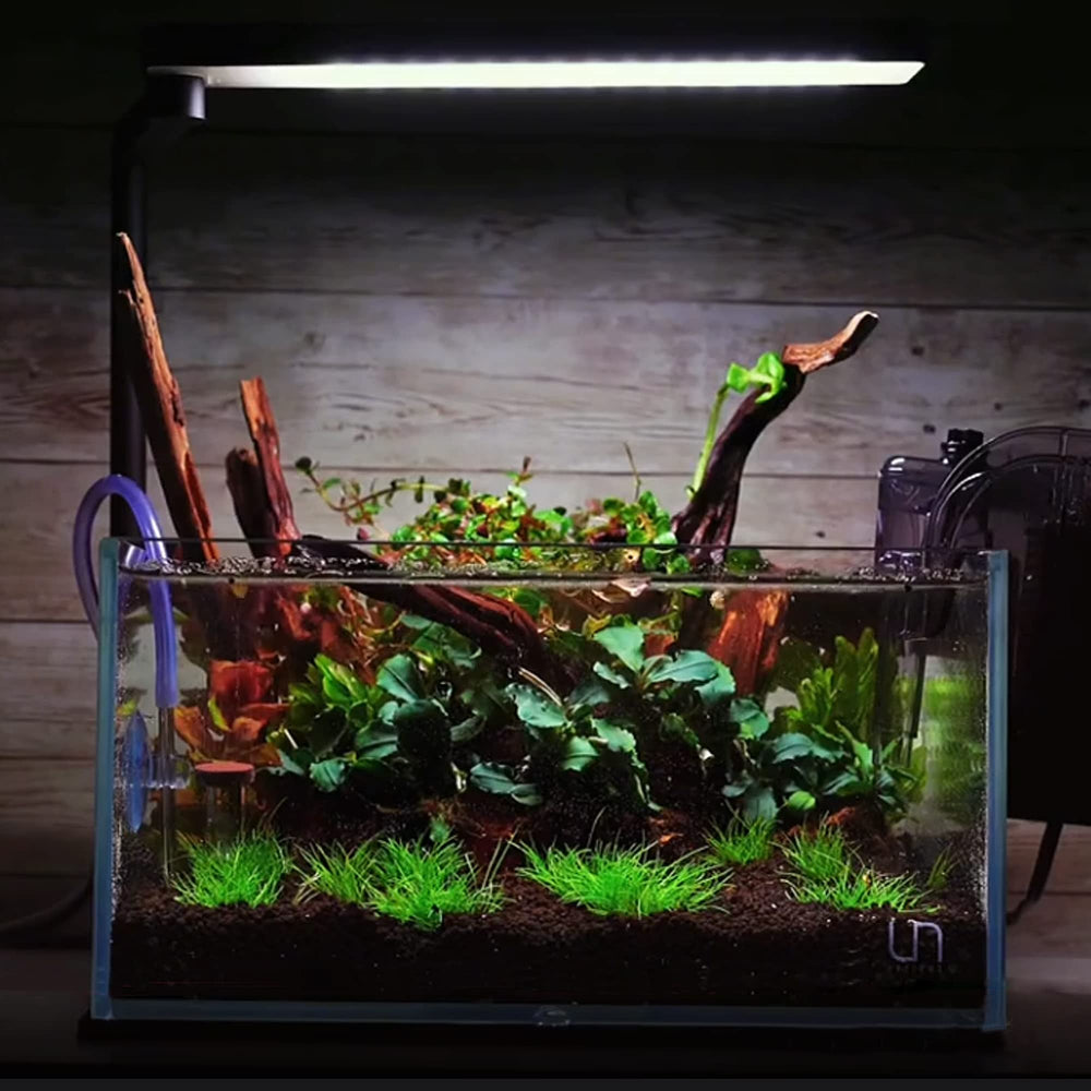 majoywoo decoraciones naturales para acuarios, se adaptan a estilos variados.