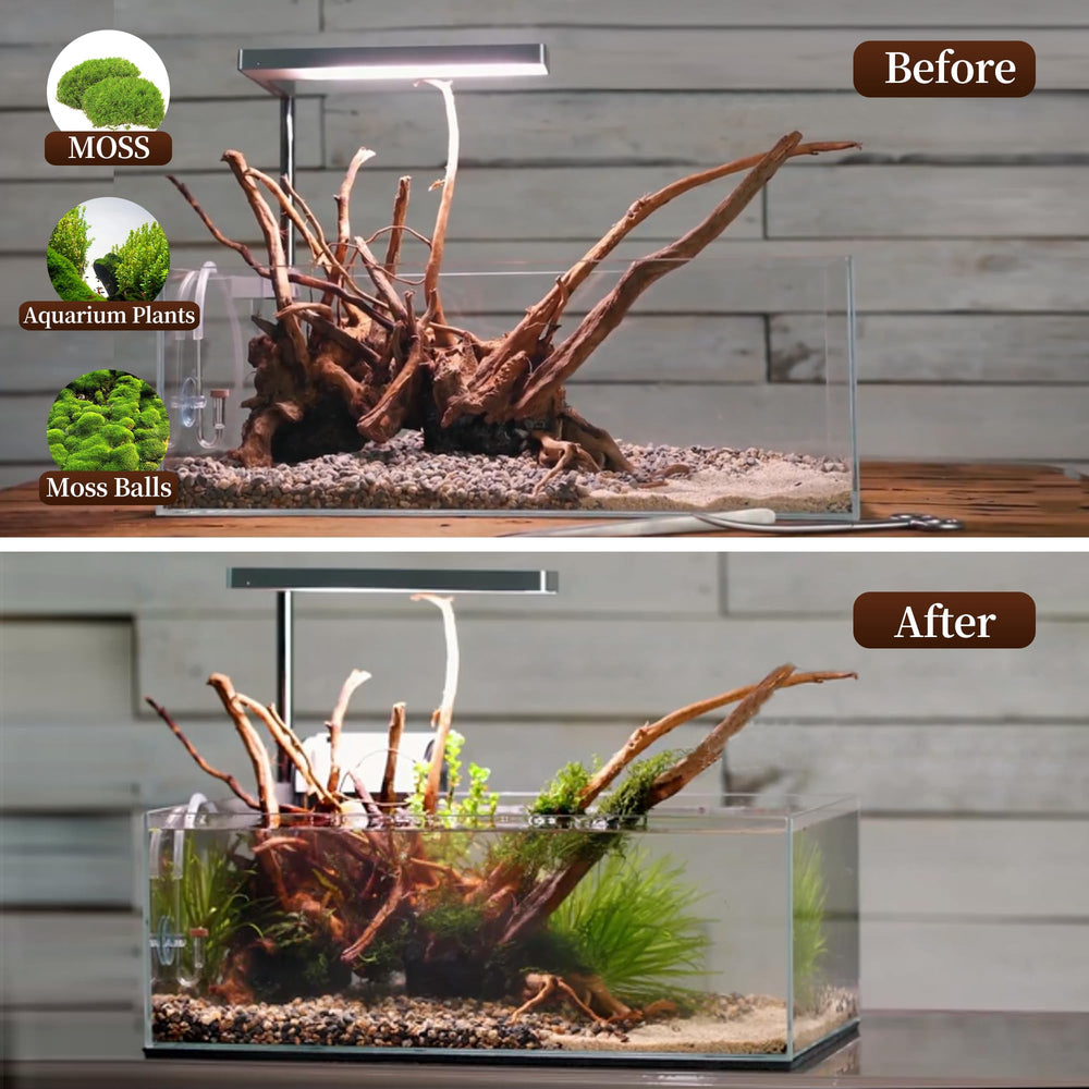 majoywoo madera arana para acuario, facilita crear musgos y estructuras naturales.